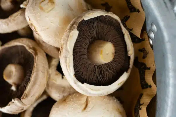 Flat Mushrooms