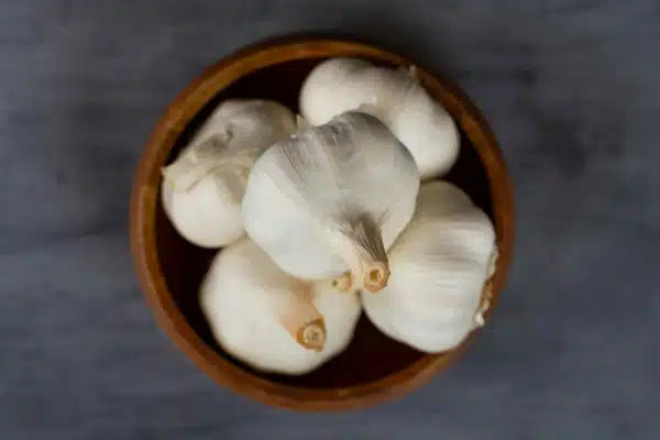 Garlic