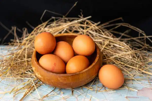 Newton Farm 6 Free Range Eggs