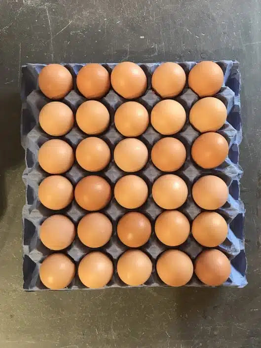 Newton Farm Free Range Eggs Tray