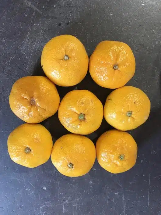 Satsumas