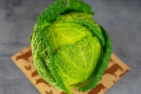 Savoy Cabbage