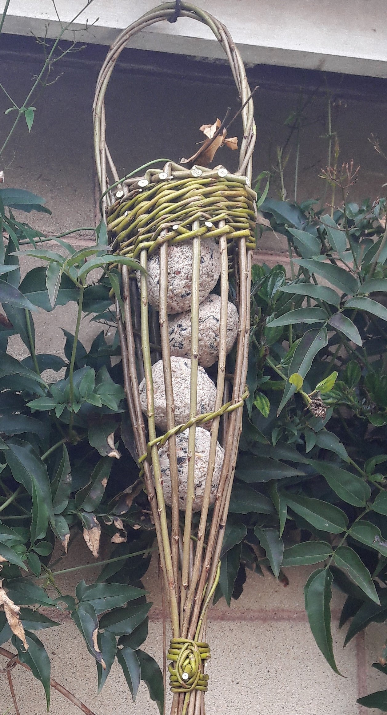 Willow Weaving - Bird Feeder