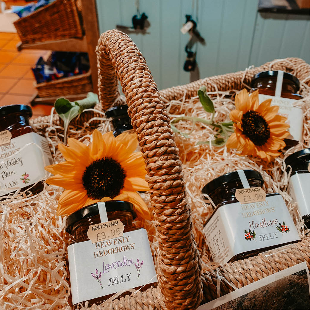 Early Autumn Foraging Workshop