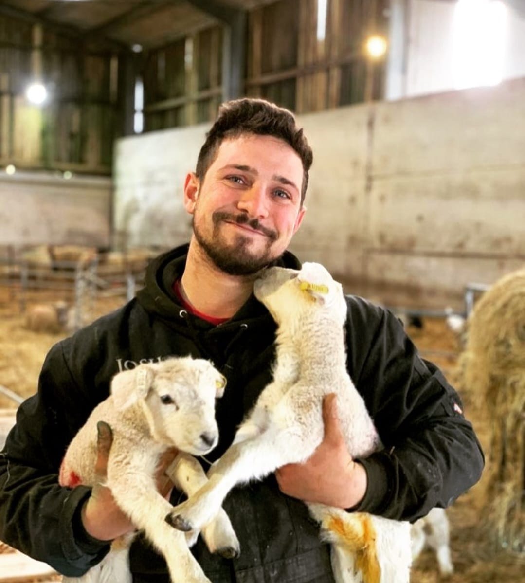 Learn About Lambing